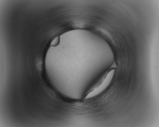 X0000089670596200707201641