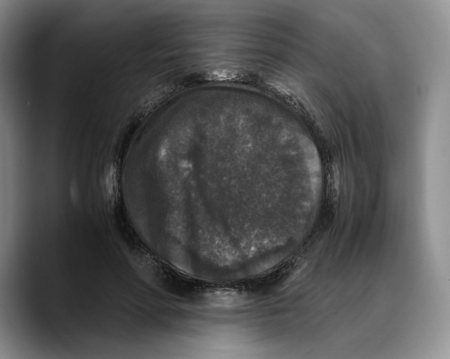 X0000089670598200707201641