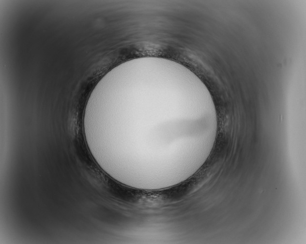 X0000089670599200707201641