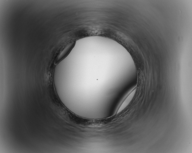 X0000089670601200707201641