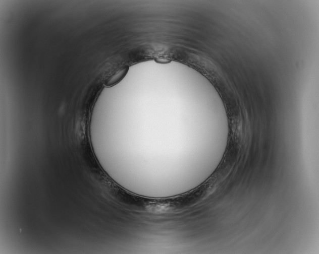 X0000089670602200707201641