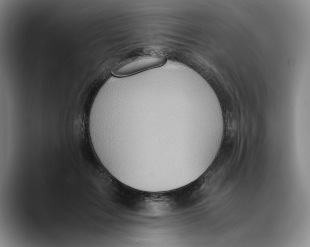 X0000089670603200707201641