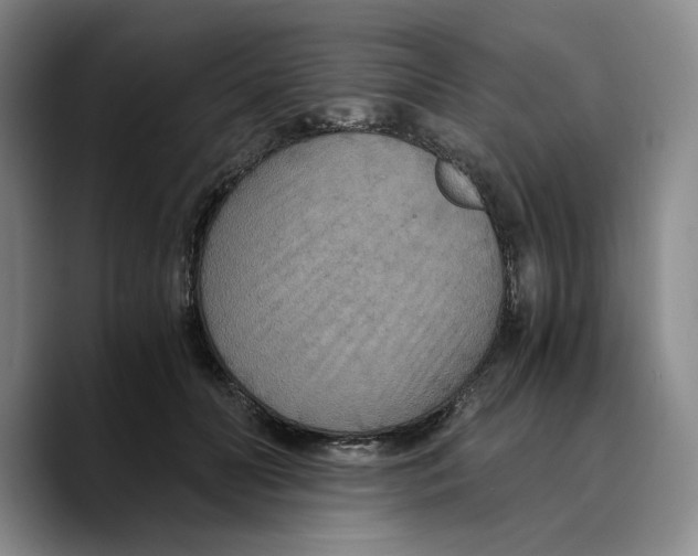 X0000089670606200707201641