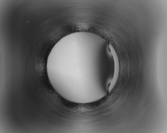 X0000089670608200707201641