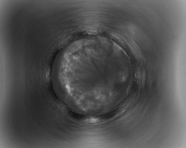 X0000089670610200707201641