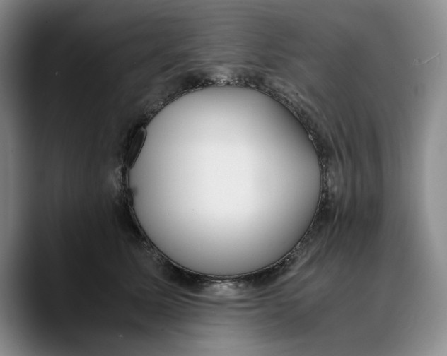 X0000089670611200707201640