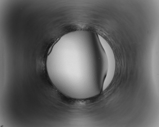 X0000089670613200707201640