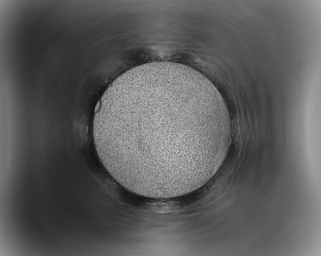X0000089670615200707201640
