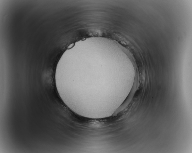 X0000089670616200707201640
