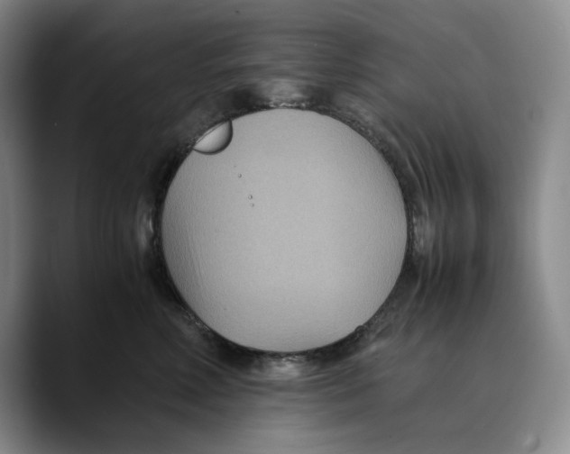 X0000089670618200707201640