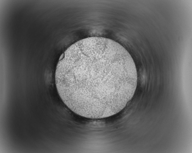 X0000089670619200707201640