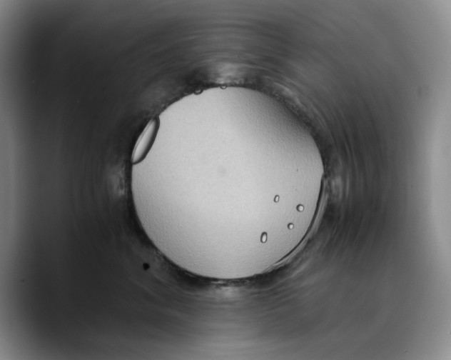 X0000089670620200707201640