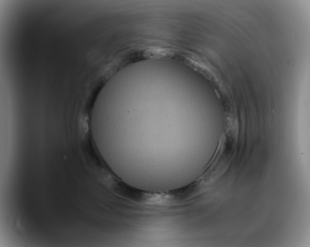 X0000089670621200707201640
