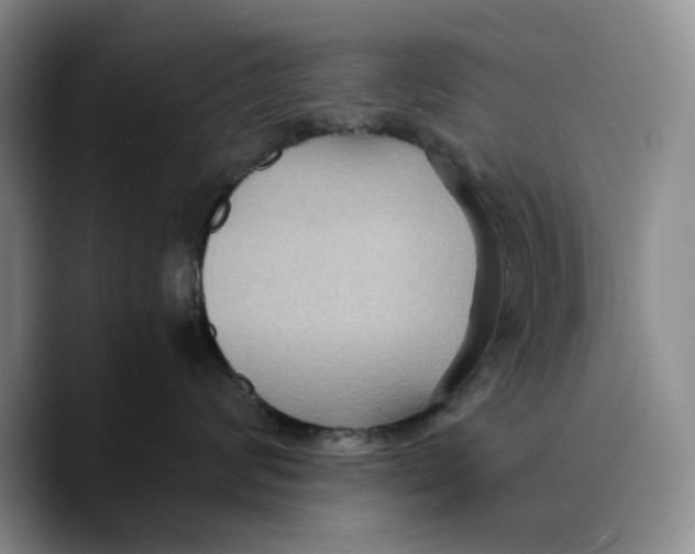 X0000089670624200707201640