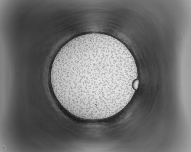 X0000089670625200707201640