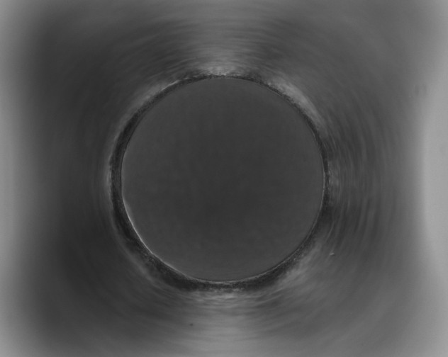 X0000089670626200707201640