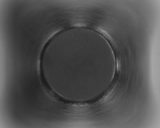 X0000089670627200707201640