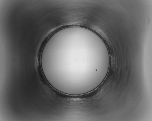 X0000089670628200707201640