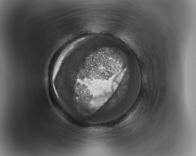 X0000089670630200707201640