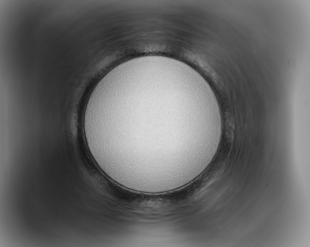X0000089670631200707201640