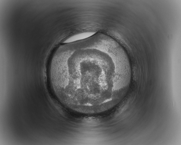 X0000089670634200707201640