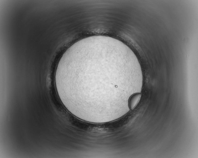 X0000089670635200707201640