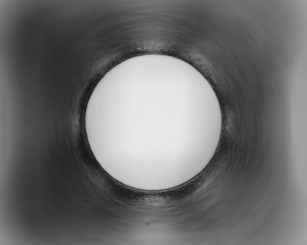 X0000089670636200707201640