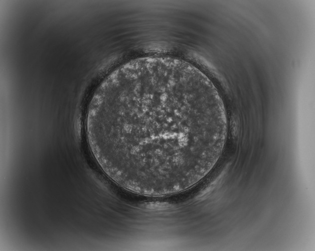 X0000089670637200707201640
