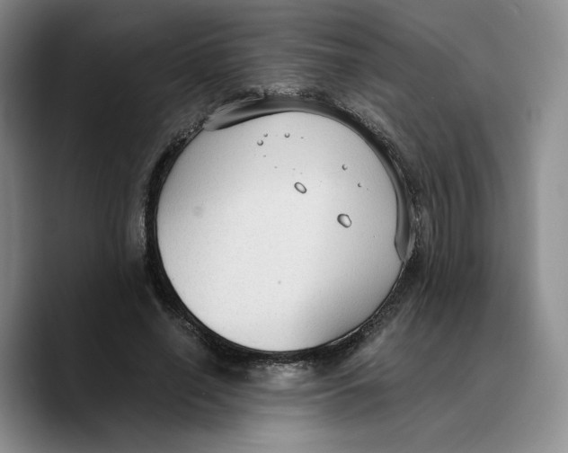 X0000089670638200707201640