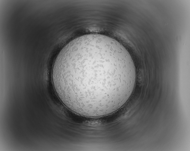 X0000089670639200707201640