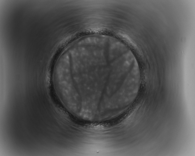 X0000089670640200707201640