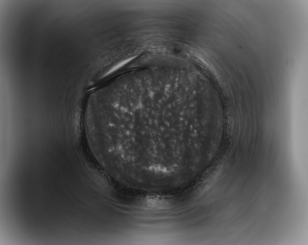 X0000089670641200707201640
