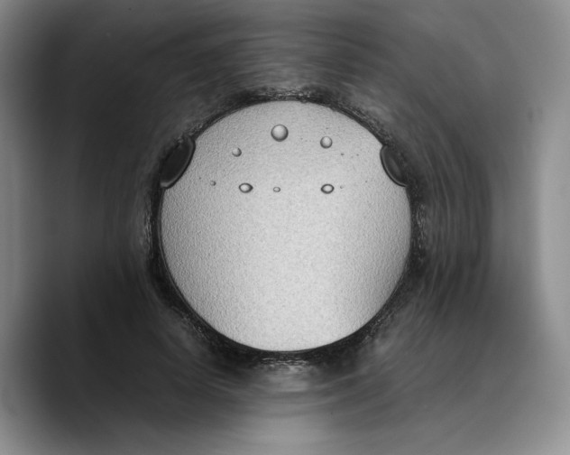 X0000089670642200707201640