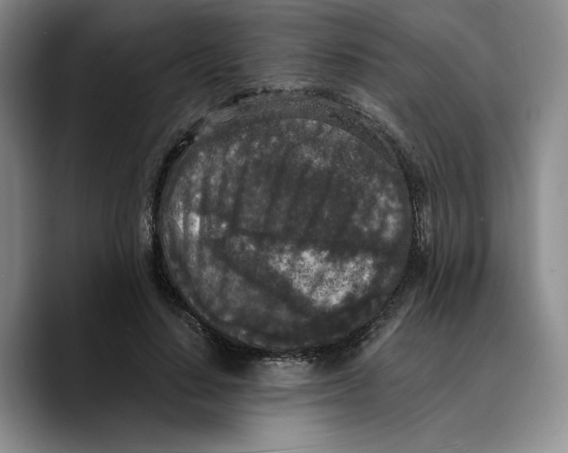 X0000089670644200707201640