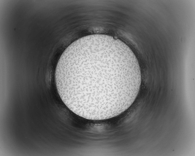 X0000089670645200707201640