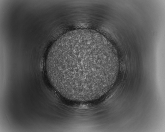 X0000089670647200707201640