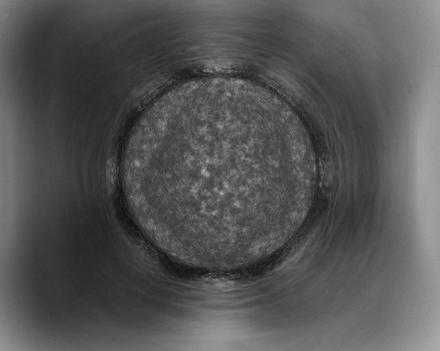 X0000089670648200707201640