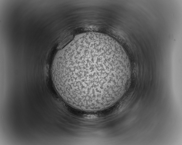 X0000089670649200707201640