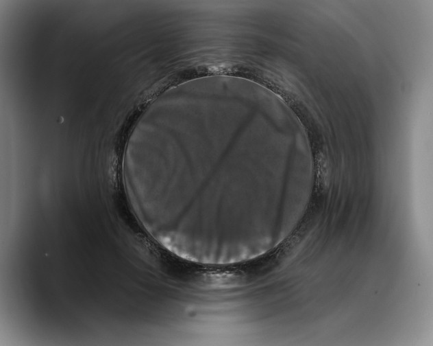 X0000089670650200707201640