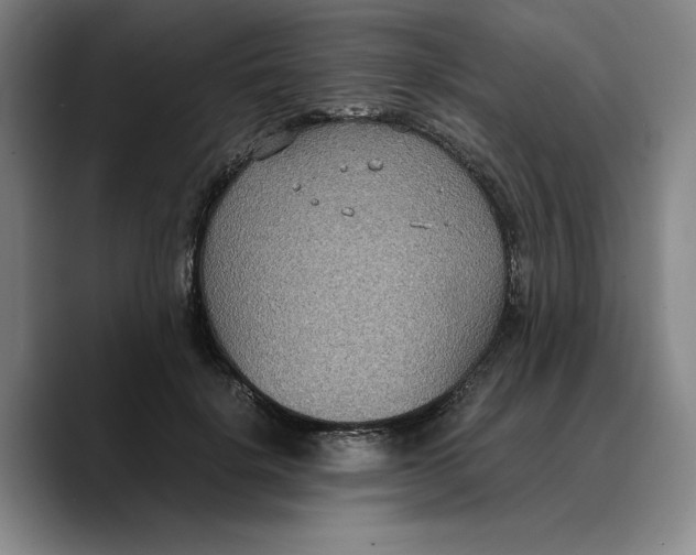 X0000089670652200707201640