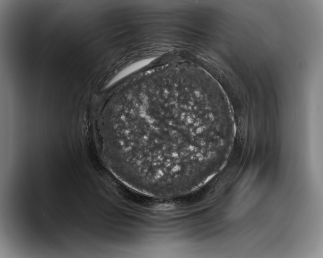X0000089670653200707201640