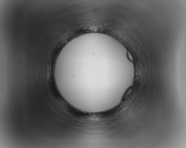 X0000089670656200707201640