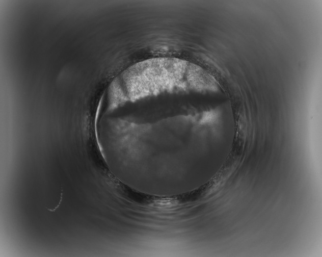 X0000089670659200707201640