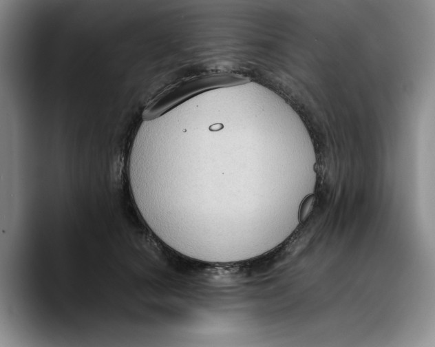 X0000089670660200707201640