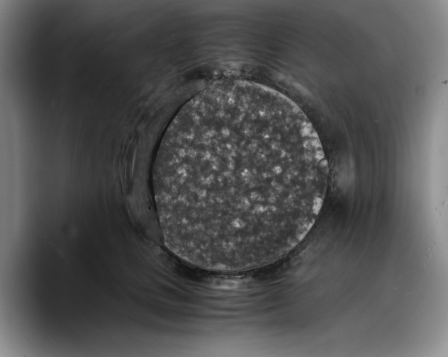X0000089670661200707201640