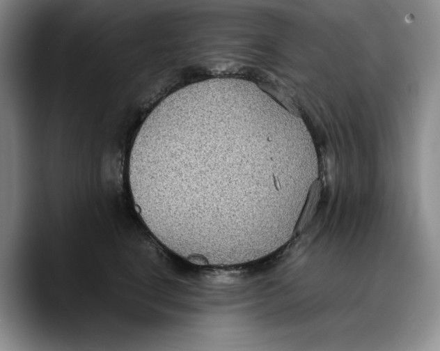 X0000089670664200707201640