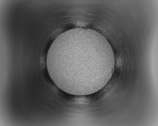 X0000089670666200707201640