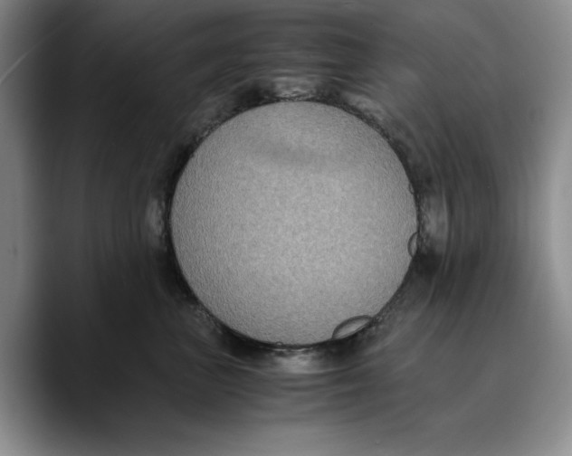 X0000089670667200707201640