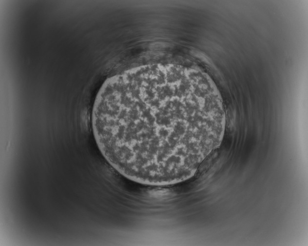 X0000089670669200707201640