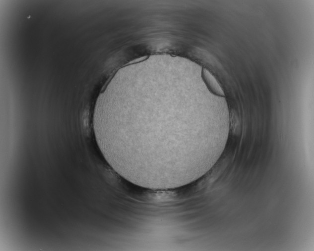 X0000089670670200707201640